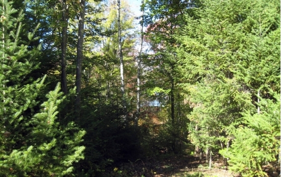 Oconto County Maiden Lake Property for Sale
